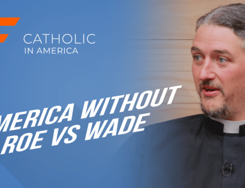 America Without Roe vs Wade // Catholic in America