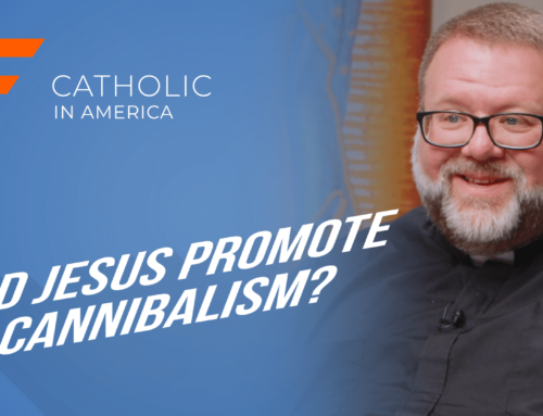 Did Jesus Promote Cannibalism? // Catholic in America