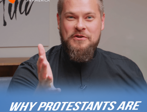 Why Protestants are Wrong About Mary // Catholic in America